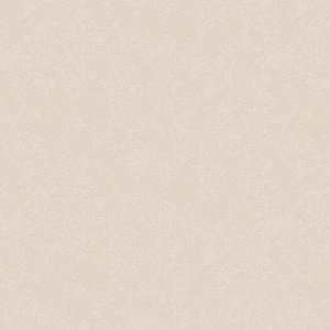 ERISMANN Light 4544-5 Обои  ГТ ФО  1,0610м. 16