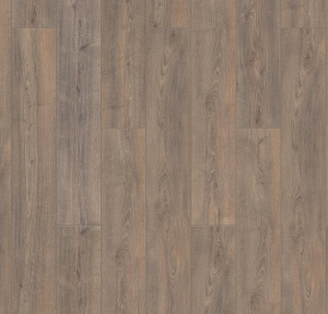 Дуб Юкатан1