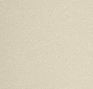 54355-6-rap-oboykin-andrea-rossi-spectrum-plus