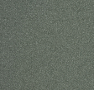 54355-33-rap-oboykin-andrea-rossi-spectrum-plus