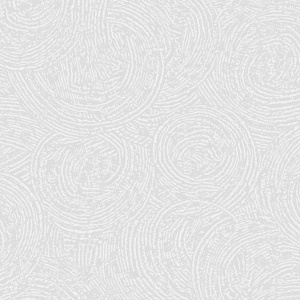 010-1
