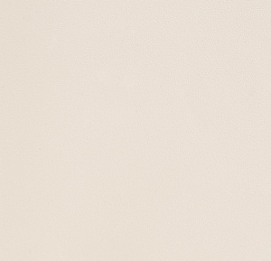 54355-10-rap-oboykin-andrea-rossi-spectrum-plus