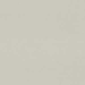 7299-11-раппорт