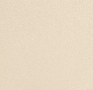 54355-5-rap-oboykin-andrea-rossi-spectrum-plus