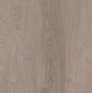 Дуб Шервуд Северный