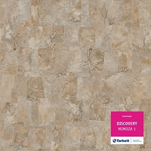 Дискавери Мимоза-2