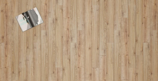 Дуб Самора-2