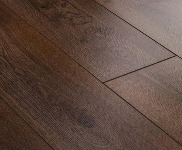 Дуб Айвари-1