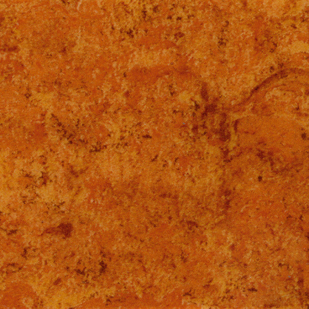 200008 (1)