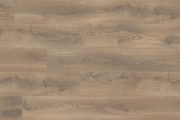 Дуб Маринео