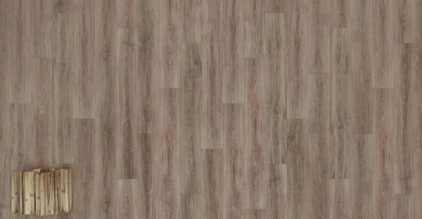 Дуб Джонсон-2