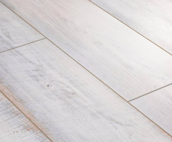 Дуб Балатон-1