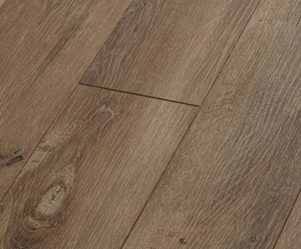 Дуб Берлин-1