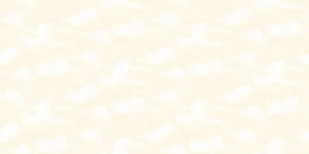 84248-1