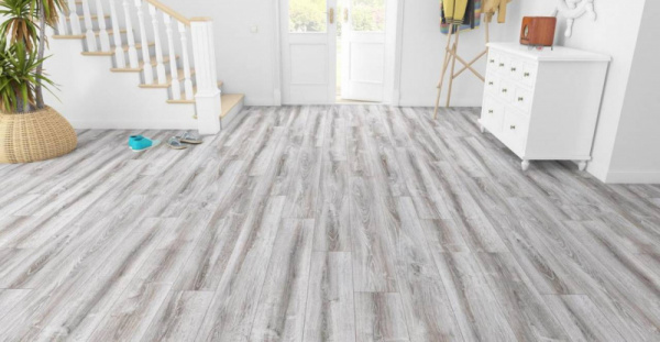 Сосна Асахи-3