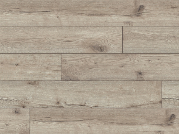 52787 Дуб Титикака-4