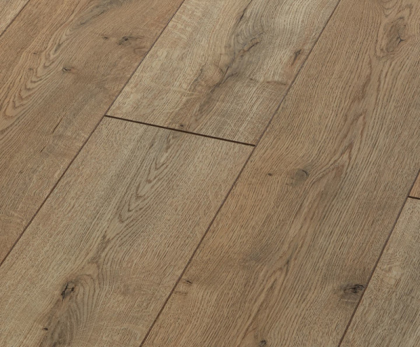 Дуб Вермонт-1