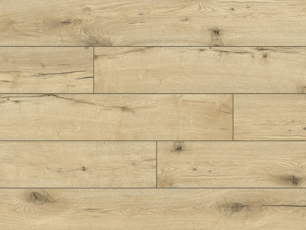 52783 Дуб Тангалика