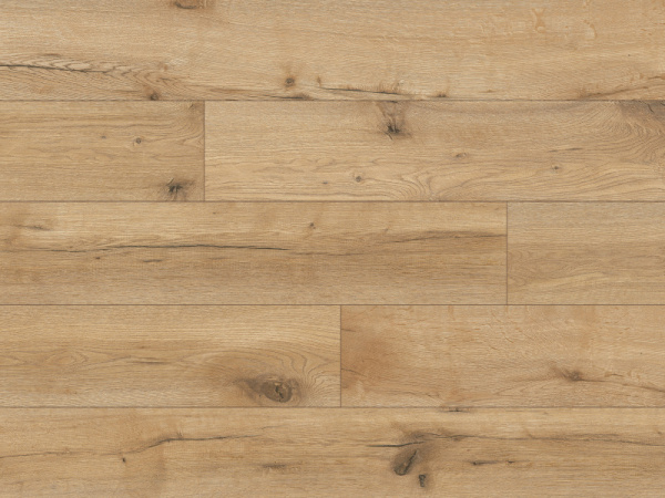 54852 Дуб Патос