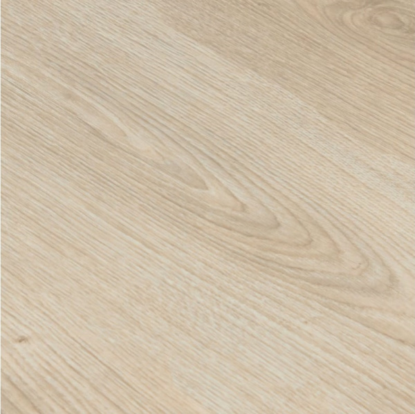 Дуб Астина светлый-1