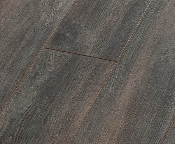 Дуб Бремен-1