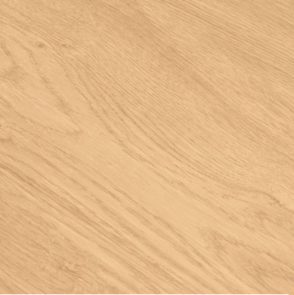 Дуб Реколета-1