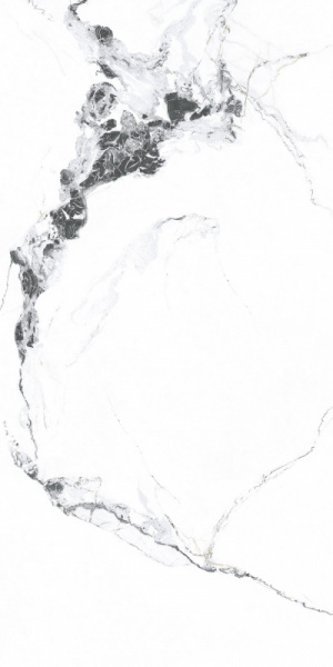 3e03bb7888549892aa73b31a2bd45221