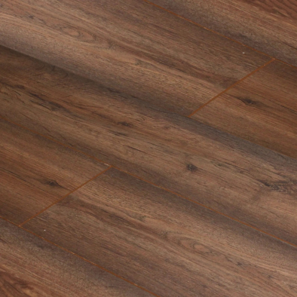 4728-V4 Дуб Вельсна-2