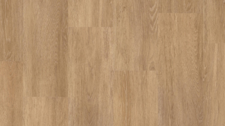 THH_ELEMENT_Biscuit_Oak