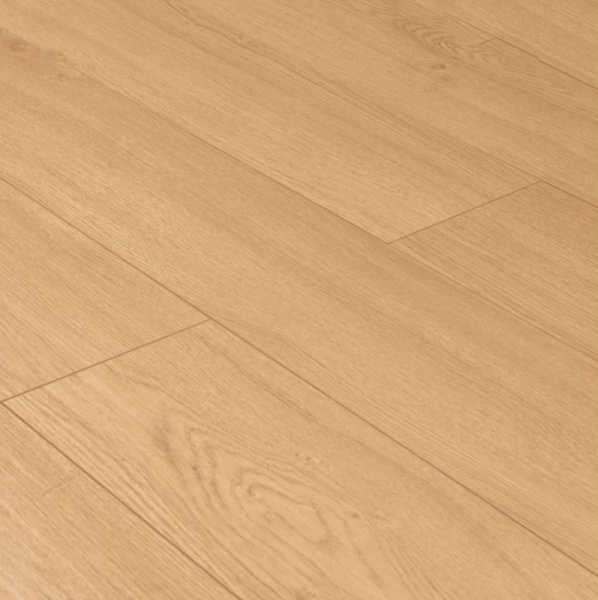 Дуб Реколета-2