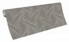Erismann-1
