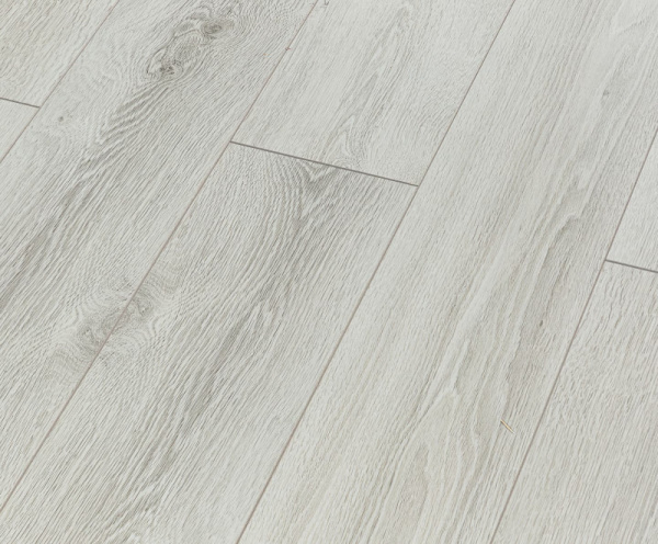 Дуб Ривьера-1