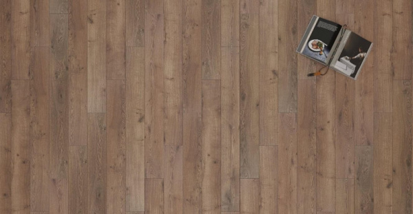 Дуб Альгамбра-2