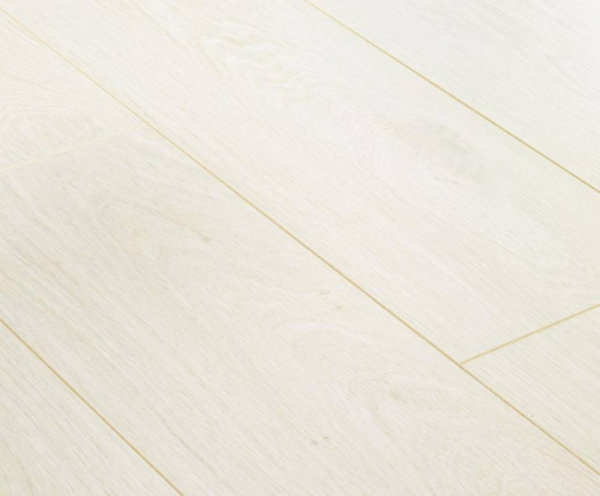 Дуб Северный-1