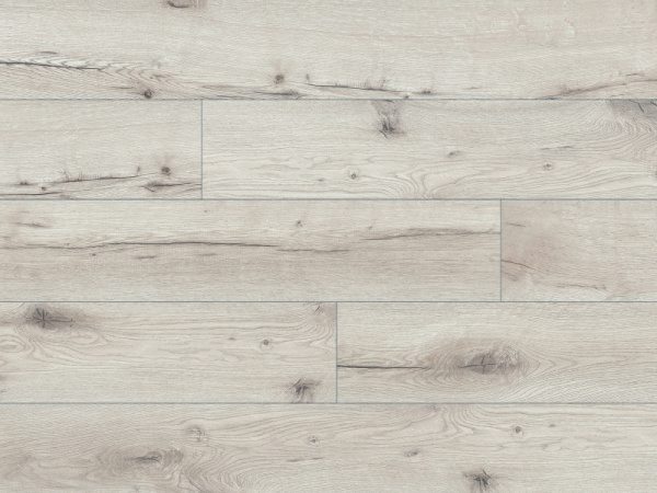 54856 Дуб Онега