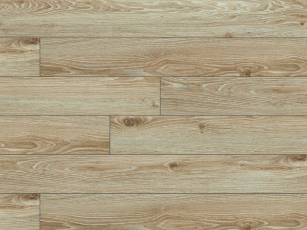 Дуб Морелла 54816