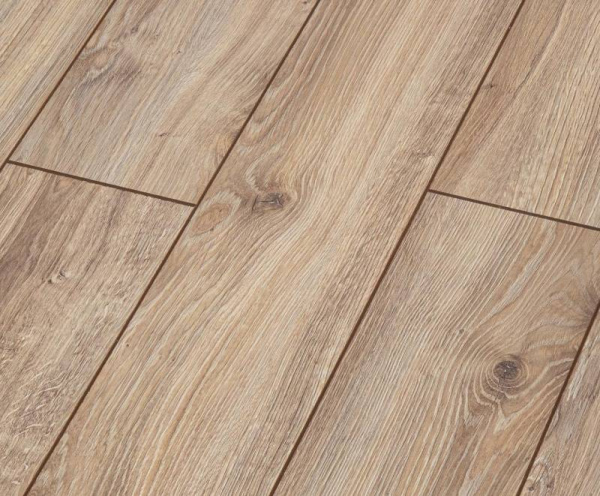 Дуб Самора-1