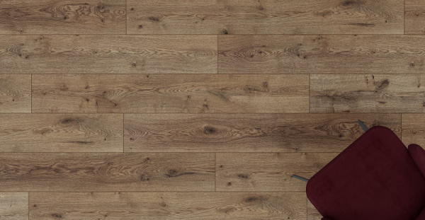 Дуб Вермонт-2