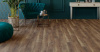 Дуб Берлин-3