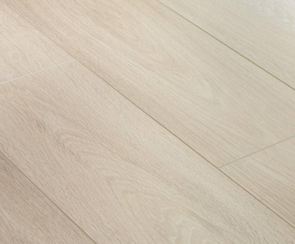 Дуб Горный Светлый-1