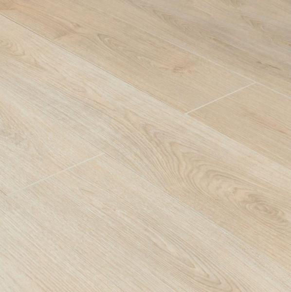 Дуб Астина светлый-2