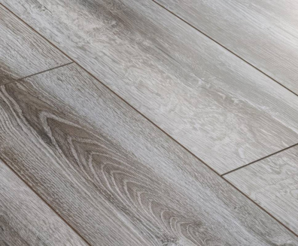 Сосна Асахи-1