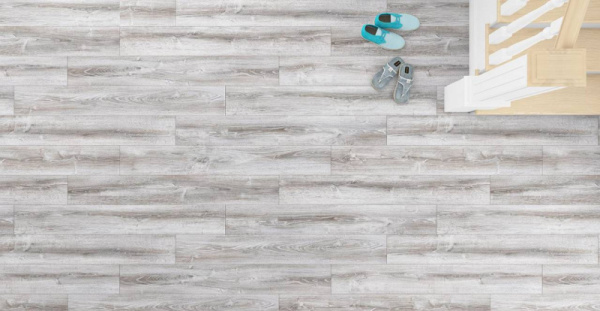 Сосна Асахи-2